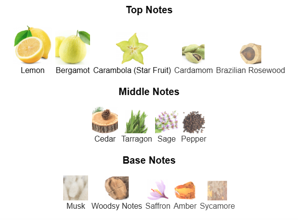 PERFUME DECANT Versace Eau Fraiche