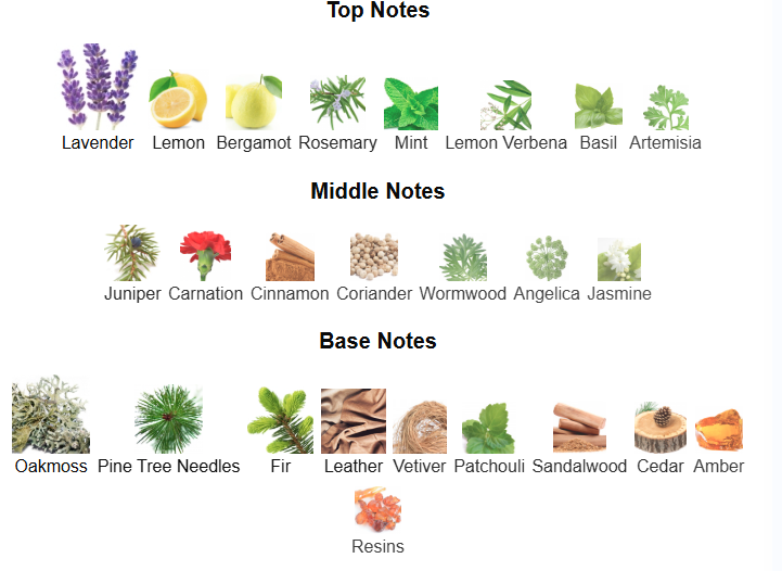 PERFUME DECANT Guy Laroche Drakkar Noir