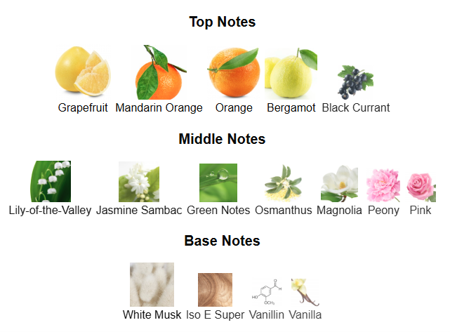 PERFUME DECANT LV Le Jour Se Leve