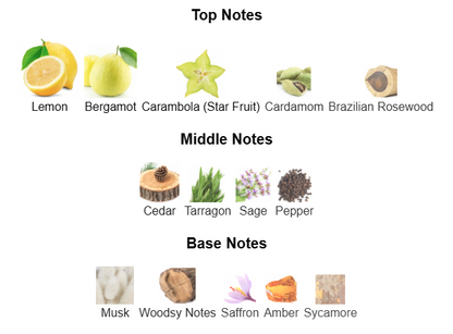 PERFUME DECANT Versace Eau Fraiche