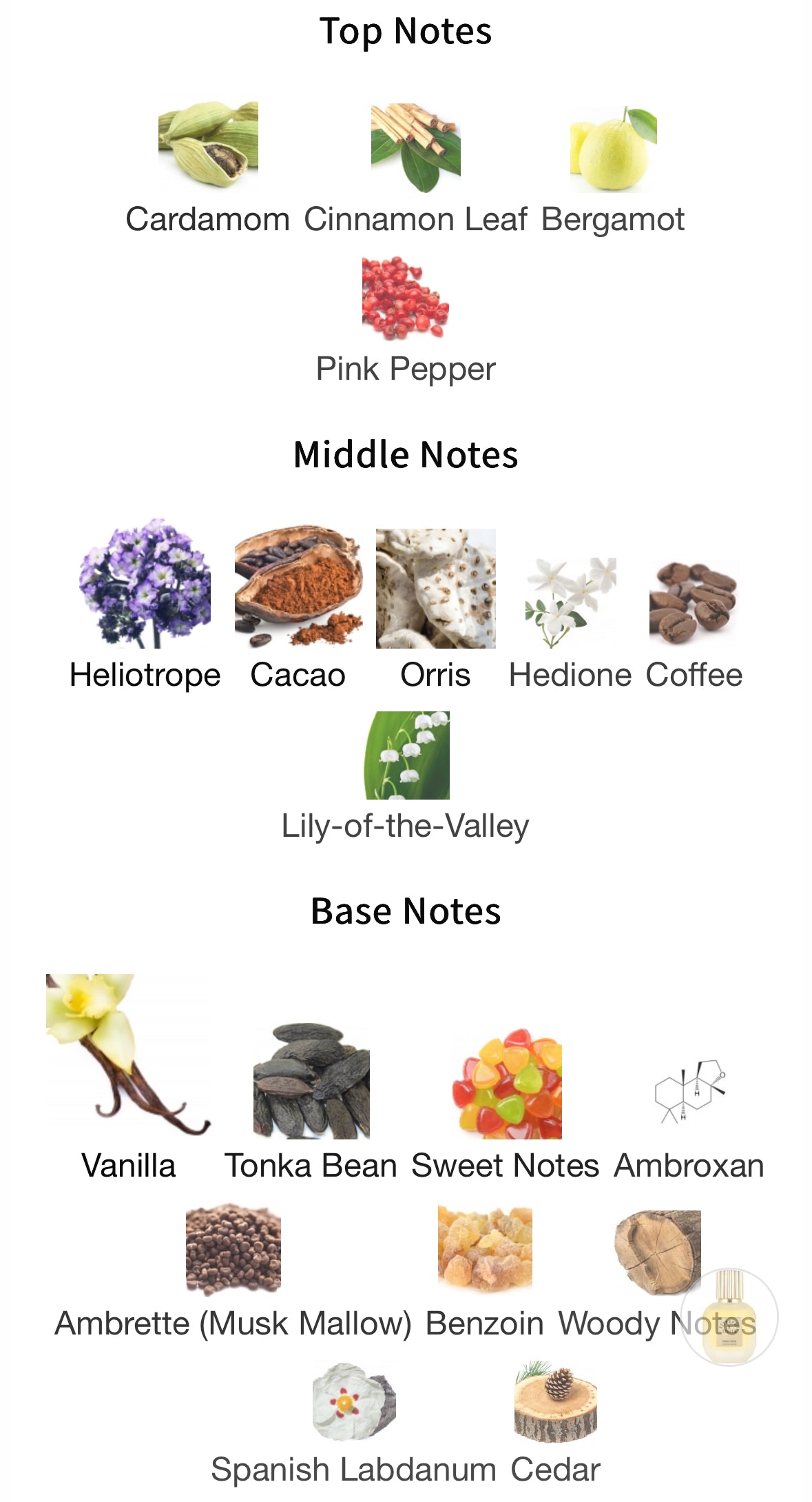 PERFUME DECANT Astrophil & Stella Paris Cheri